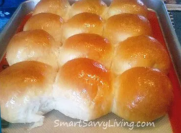 Homemade Yeast Rolls Recipe Photo