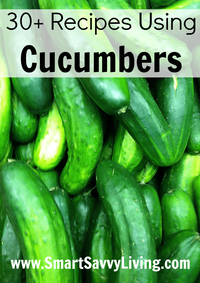 30 Recipes Using Cucumbers 8242