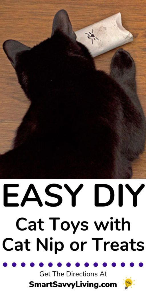 Easy DIY Cat Toys Tutorial