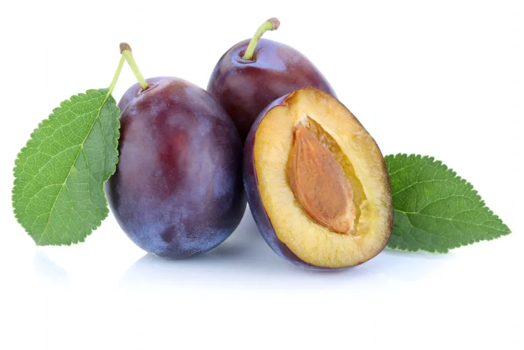 picture of 3 italian plums, with one cut in half