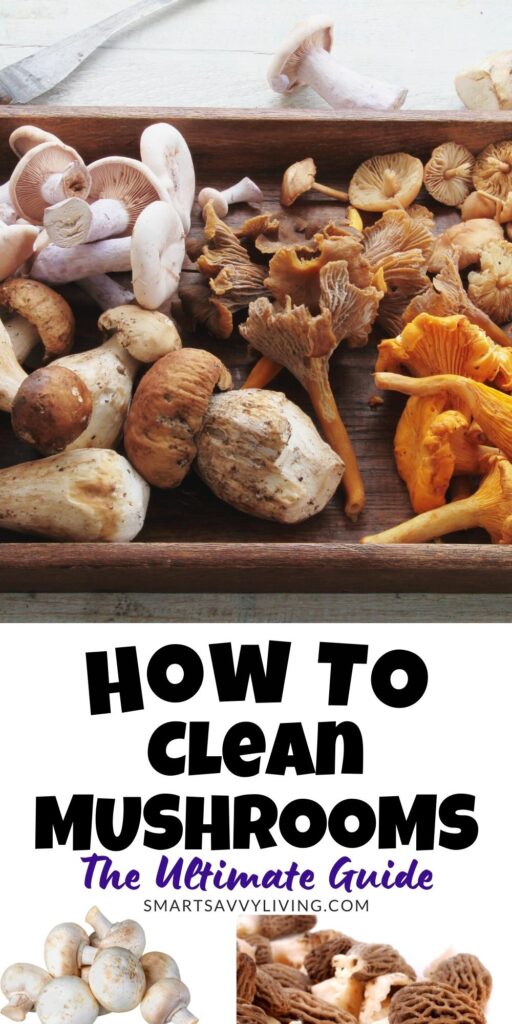 How To Clean Mushrooms: The Ultimate Guide Pinterest image