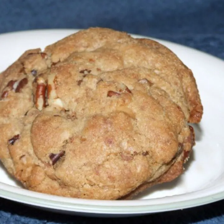 A white plate showcasing a single browned butter chocolate chip cookie